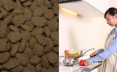 市販ペットフードと手作りフード