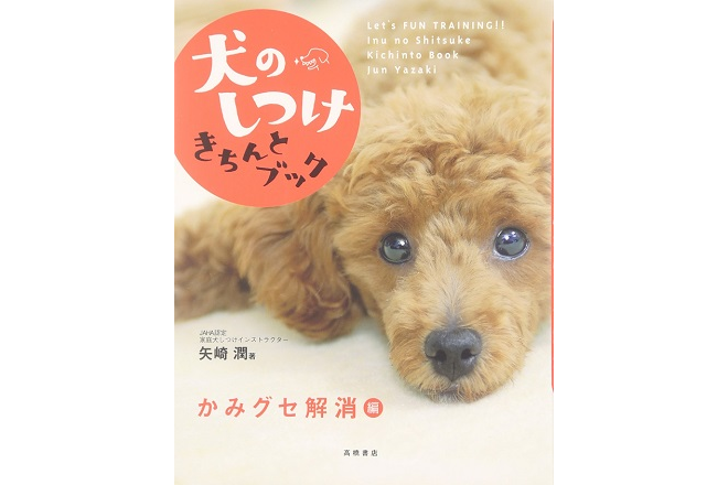 ワンちゃんのしつけに役立つ矢崎潤著の本特集 りある 犬を飼う前にみるブログ