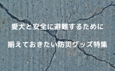 愛犬と安全に避難するために！揃えておきたい防災グッズ特集